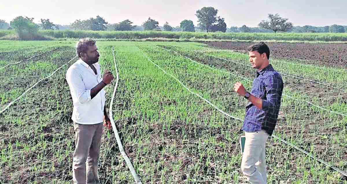 Sangareddy farmer’s alternative approach inspires many