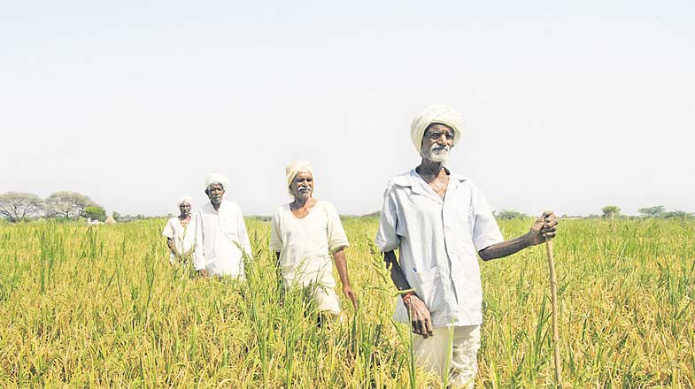 Telangana government releases Rs 7.95 cr ex gratia for kin of farmers