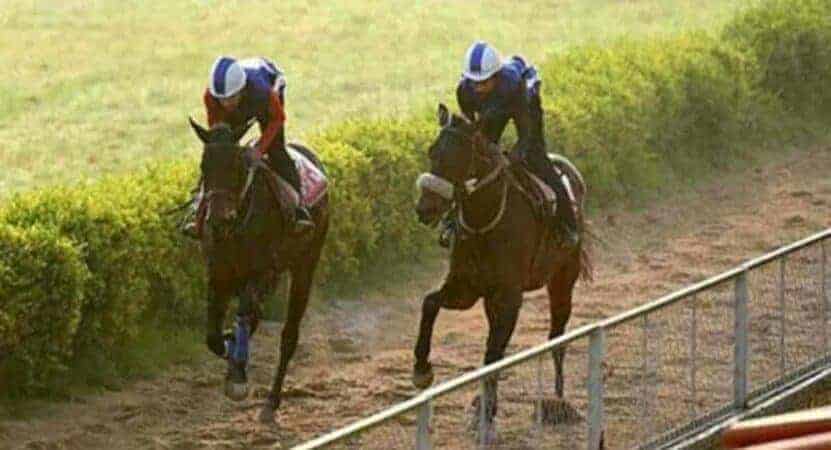 Stunning Force wins Mir Fazilath Hussain Memorial Cup