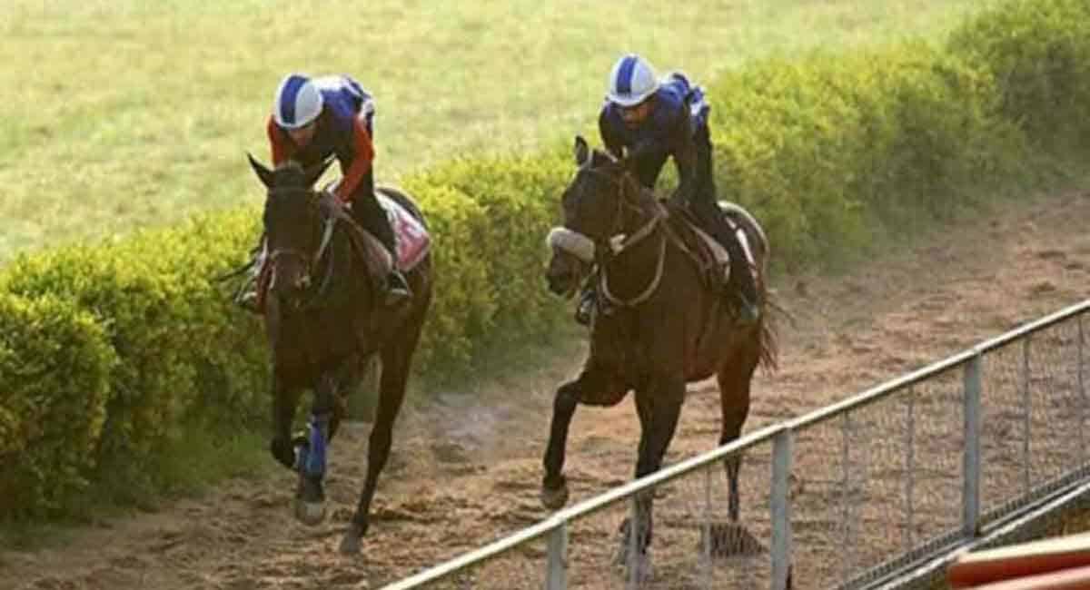 Kamilah fancied for Kolkata feature