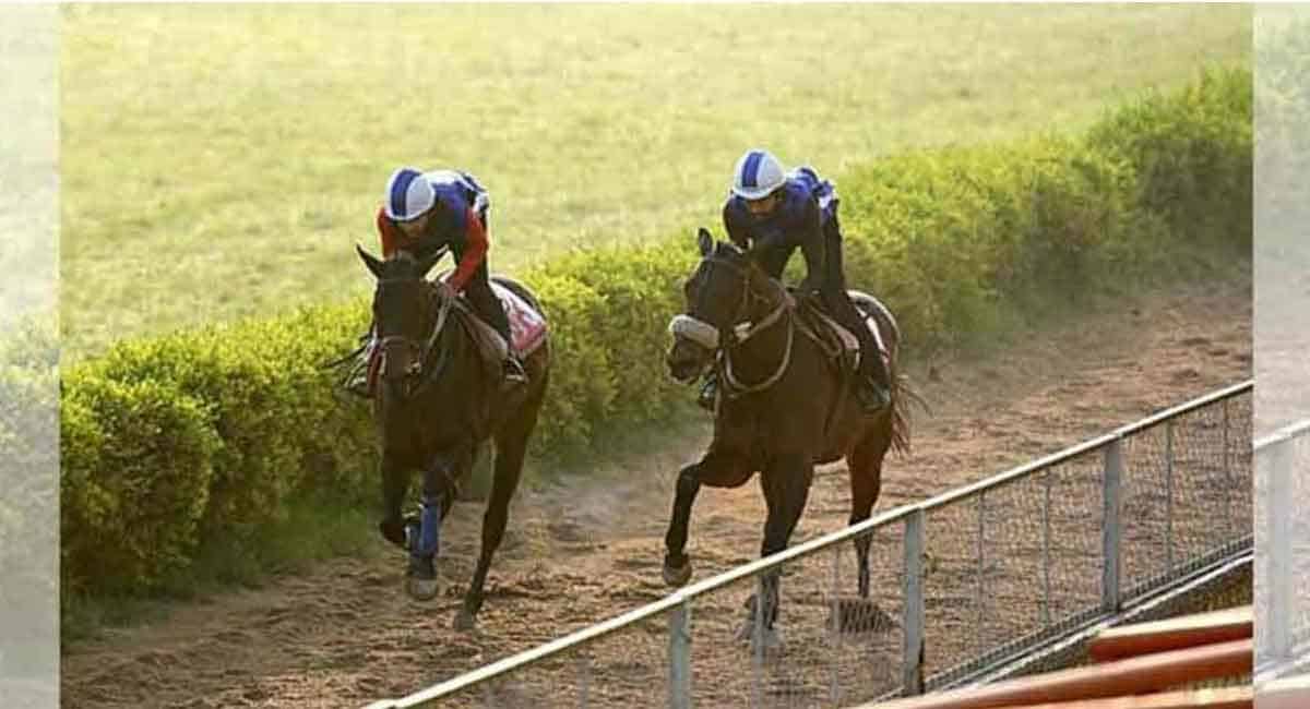 Golden Guest fancied for Mumbai feature