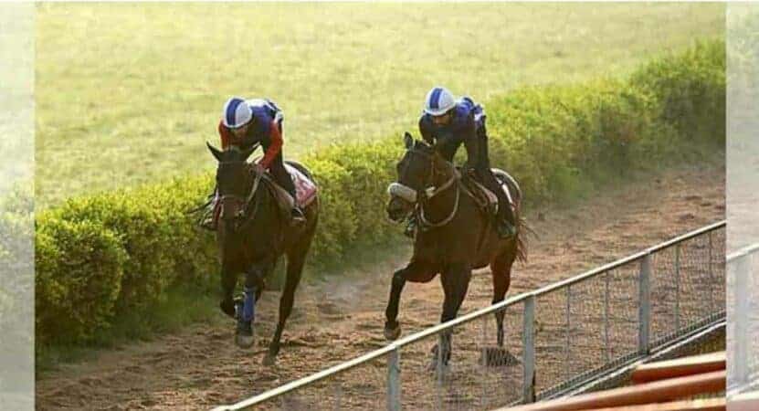 Shivansh fancied for Kolkata feature