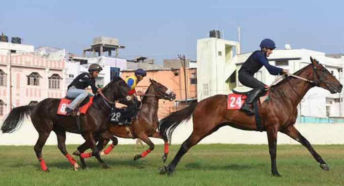 Watch My Stride fancied for Hyderabad feature
