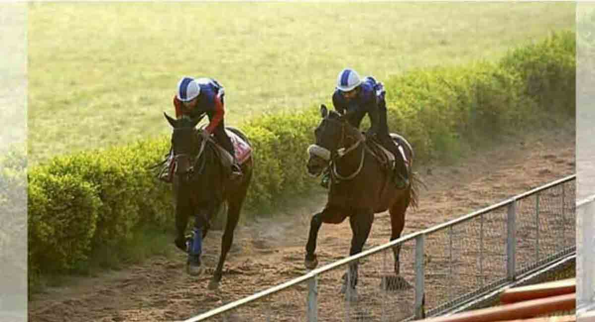 Market King, Flying Scotsman, Buckley shine in trials