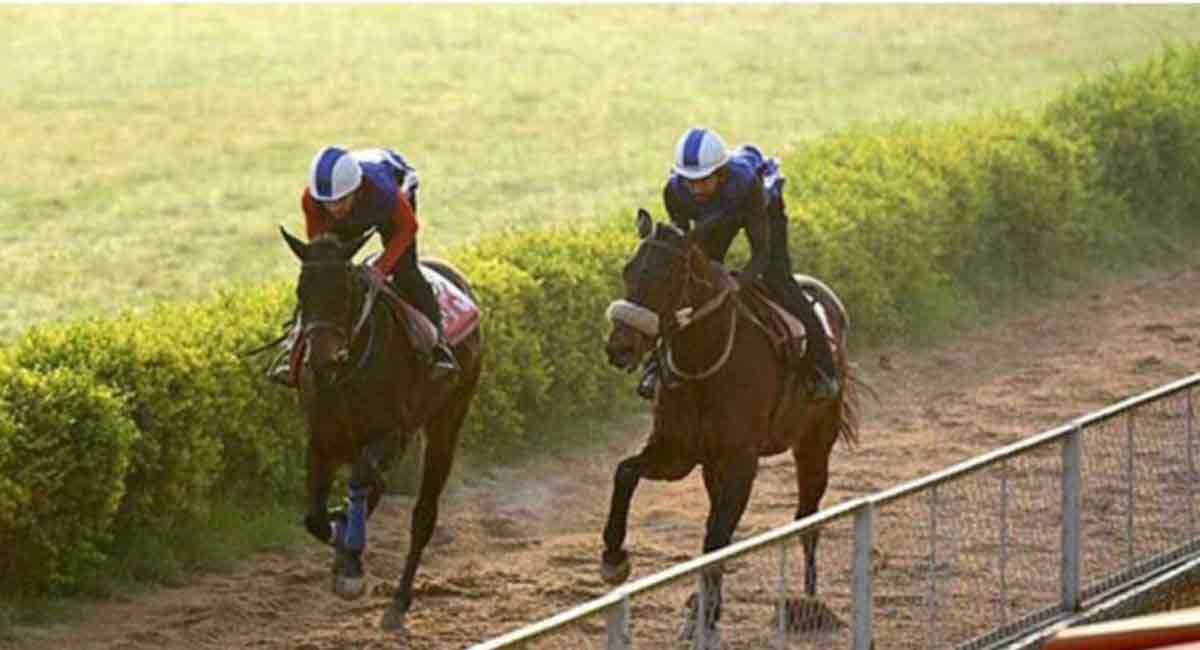 Francis Bacon, Painted Apache, The Special One shine in trials