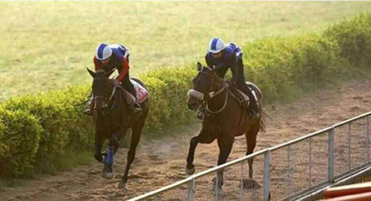 NRI Infinity, NRI Valley shine in trials