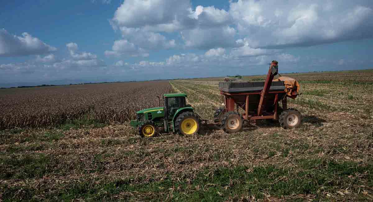 Cutting methane quickest way to limit global warming