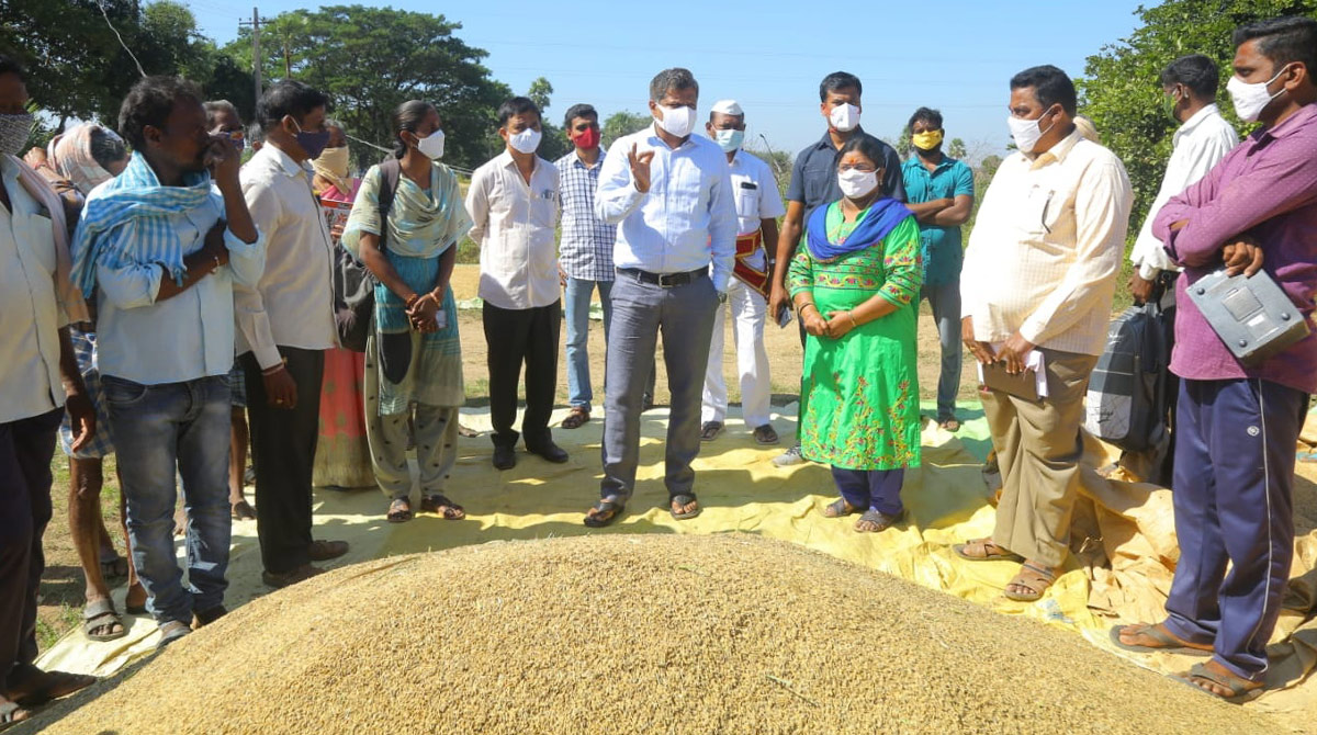 Will purchase every grain of paddy: Mulugu Collector