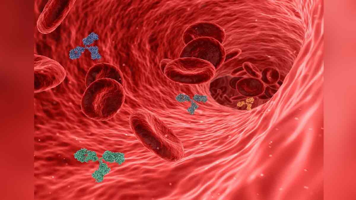 Omega-3 fatty acids may reduce atherosclerosis
