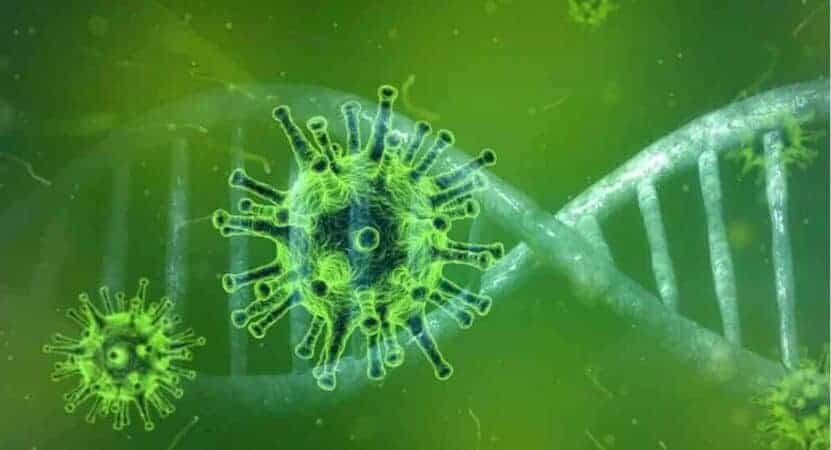 Eight FAQs on Omicron variant of Covid-19 answered