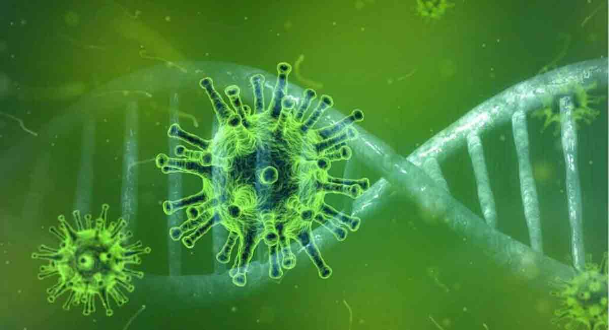 Experts warn of ‘viral blizzard’ in US as Omicron hits 41 states