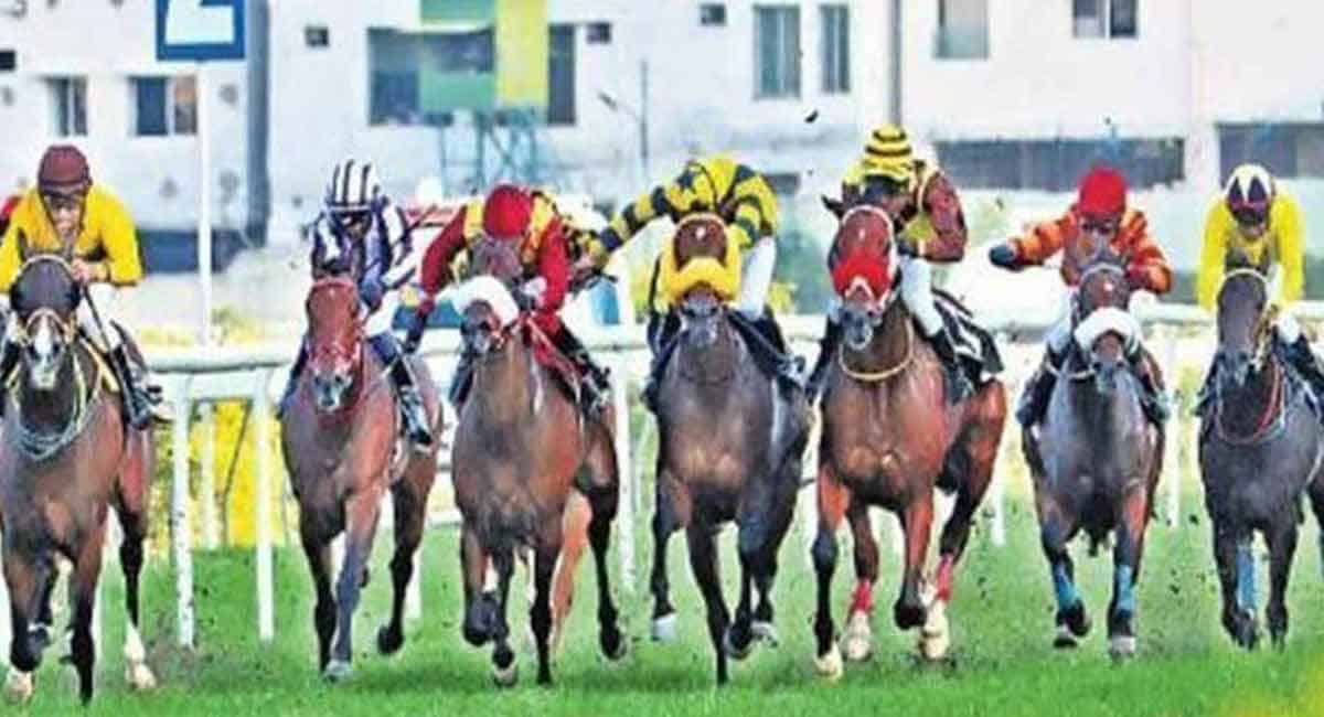 Silver Bells, Own Voice, Count Of Savoy shine in trials