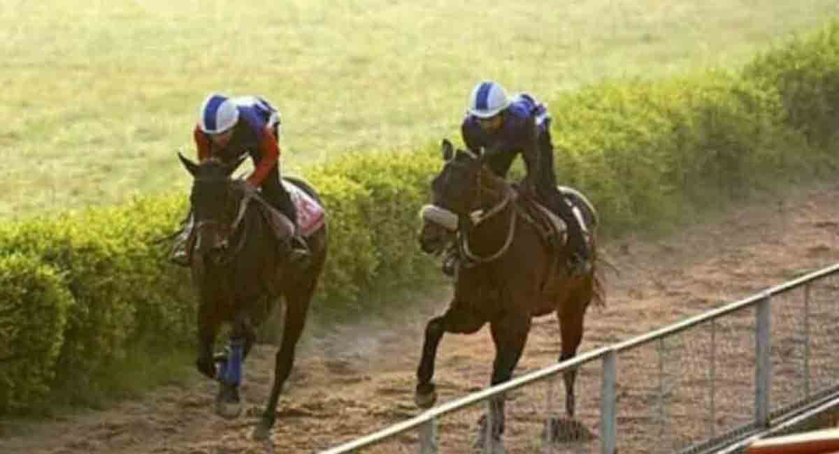 Leonardo fancied for Kolkata feature