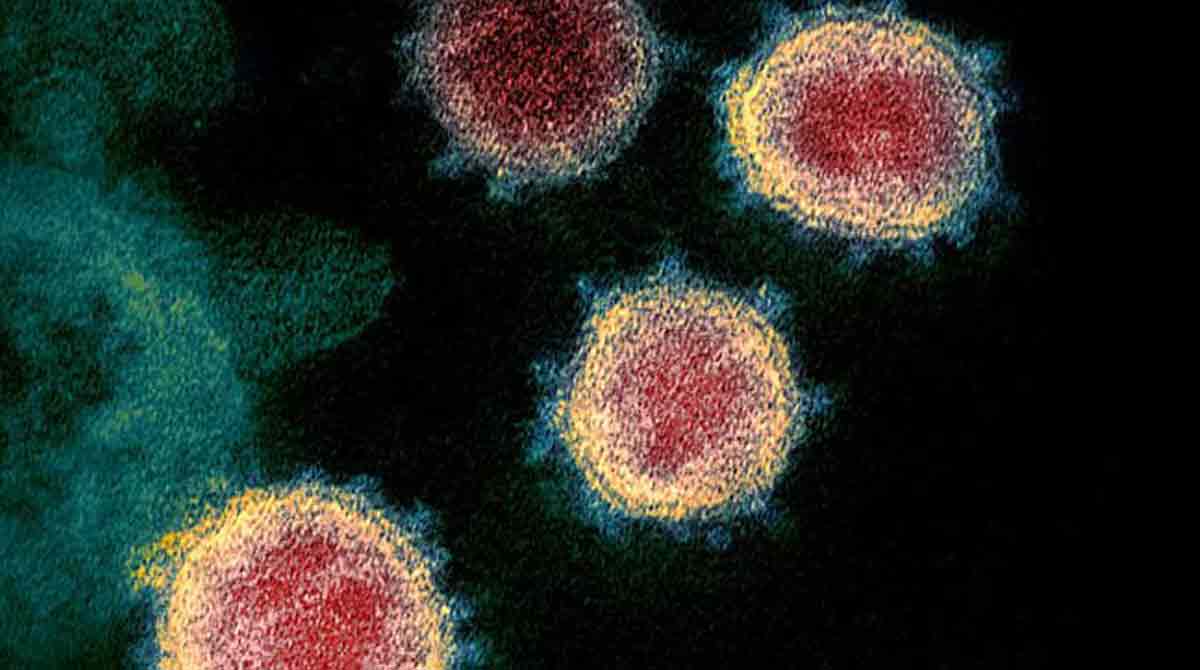 SARS-CoV-2 goes underground to spread from cell to cell
