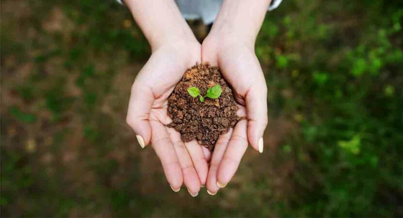 soil-poem