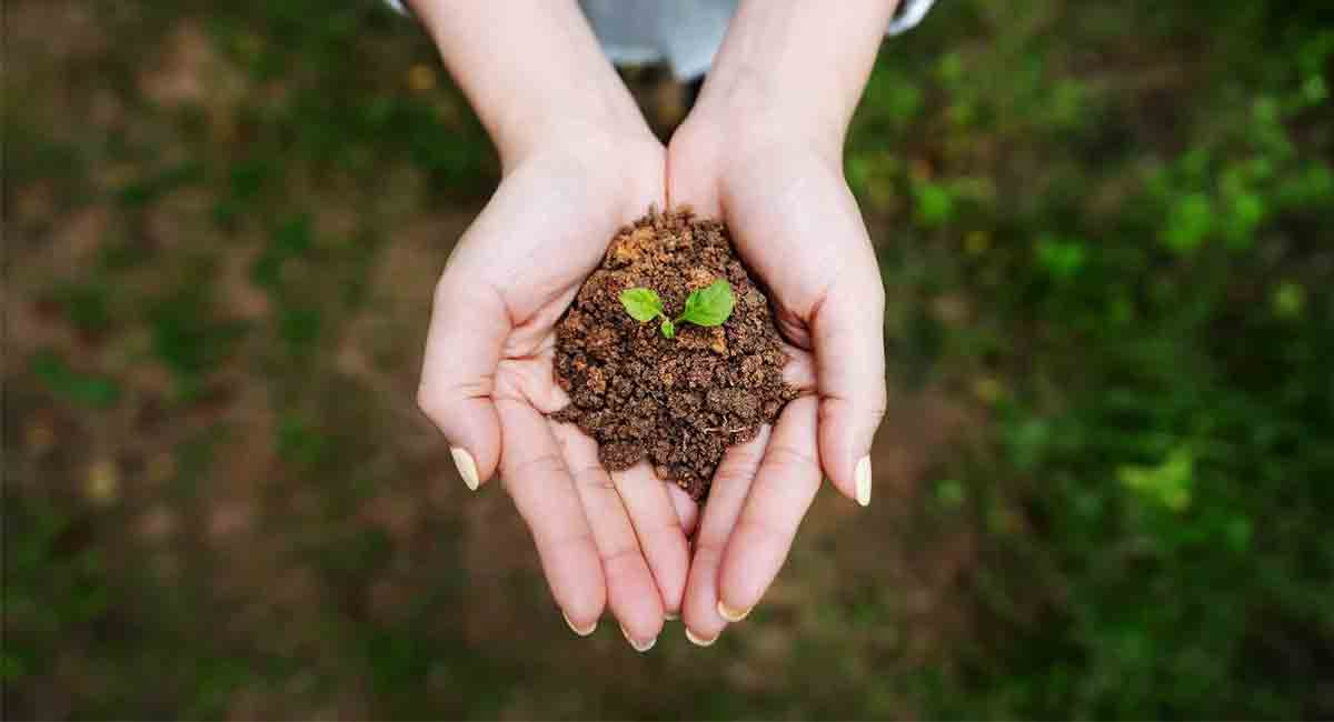 Soil is life, conserve it