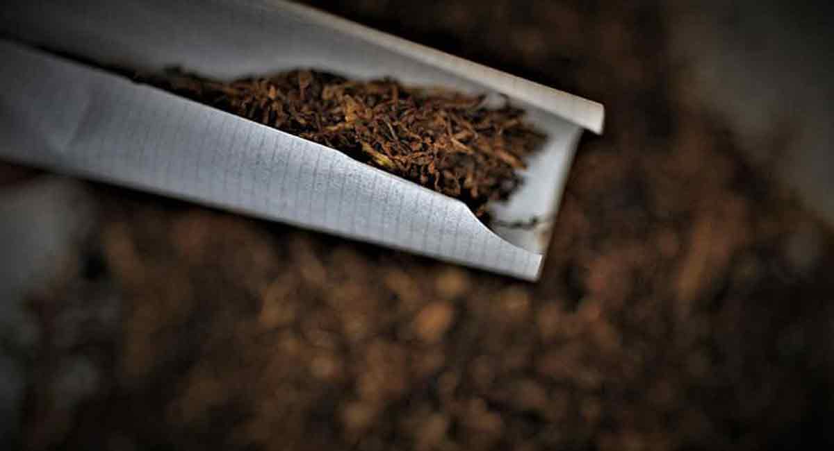 ‘One in three students below high school level consume tobacco in UP’