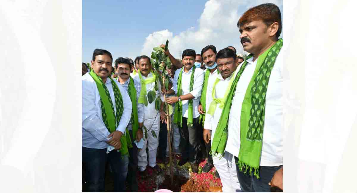 MP Santosh Kumar plants saplings at Uppal on his birthday