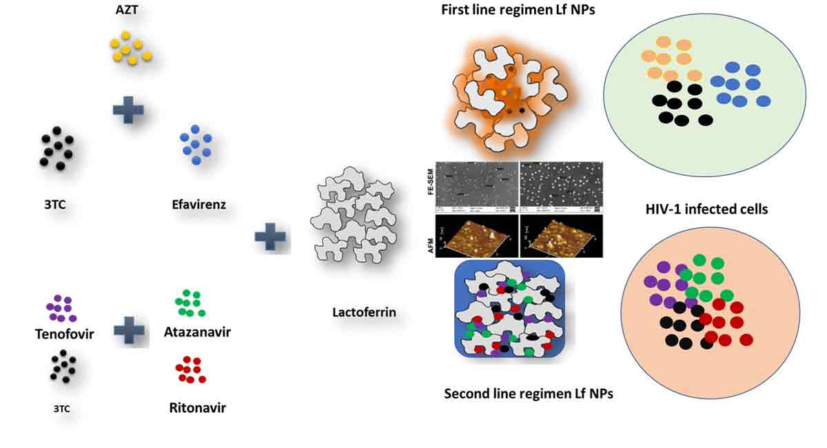 UoH granted patent for HIV drug combination efficacy enhancers