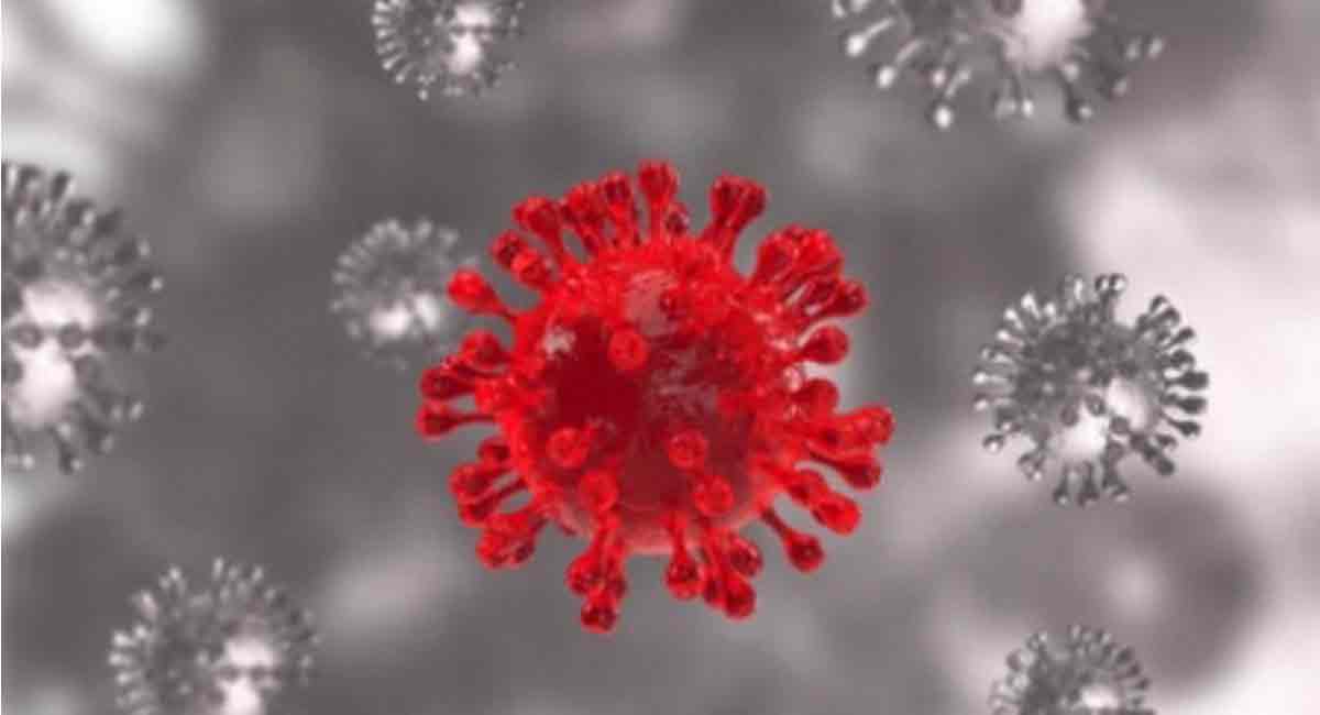 10 South African nationals go missing, Karnataka govt worried