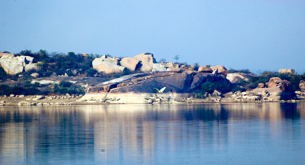 Lakes in and around Hyderabad to visit in pandemic times
