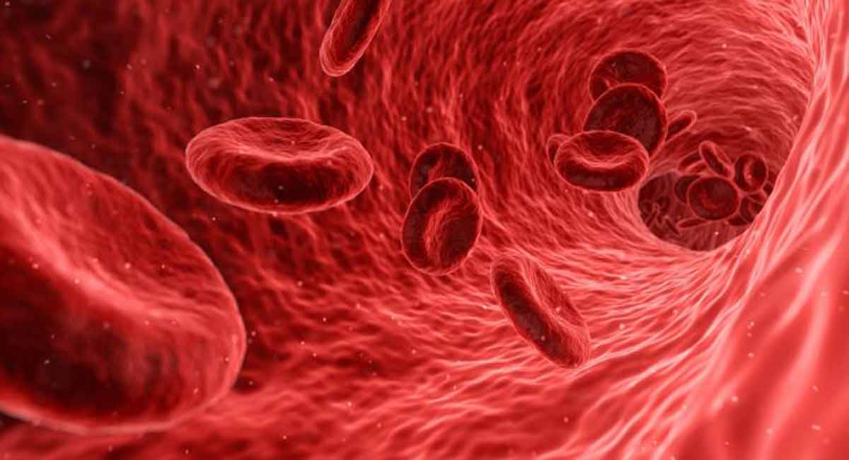 Study finds blood cancer may stop by targeting bone cells