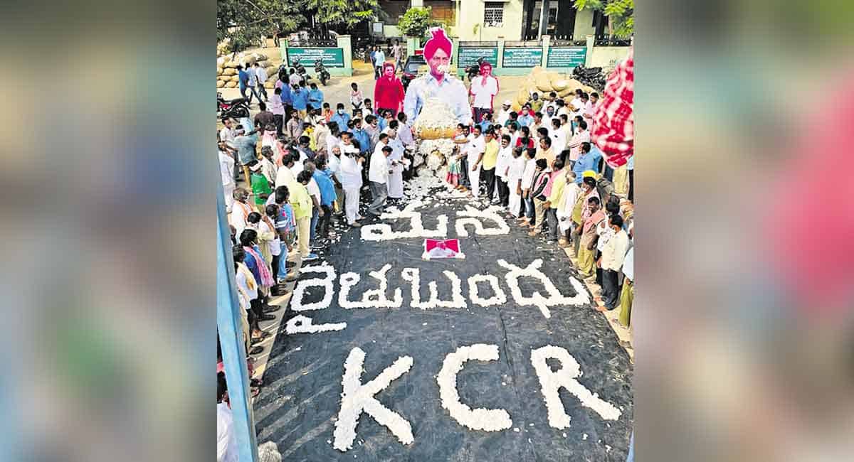 Cotton fetches record Rs 10,000 per quintal in Khammam
