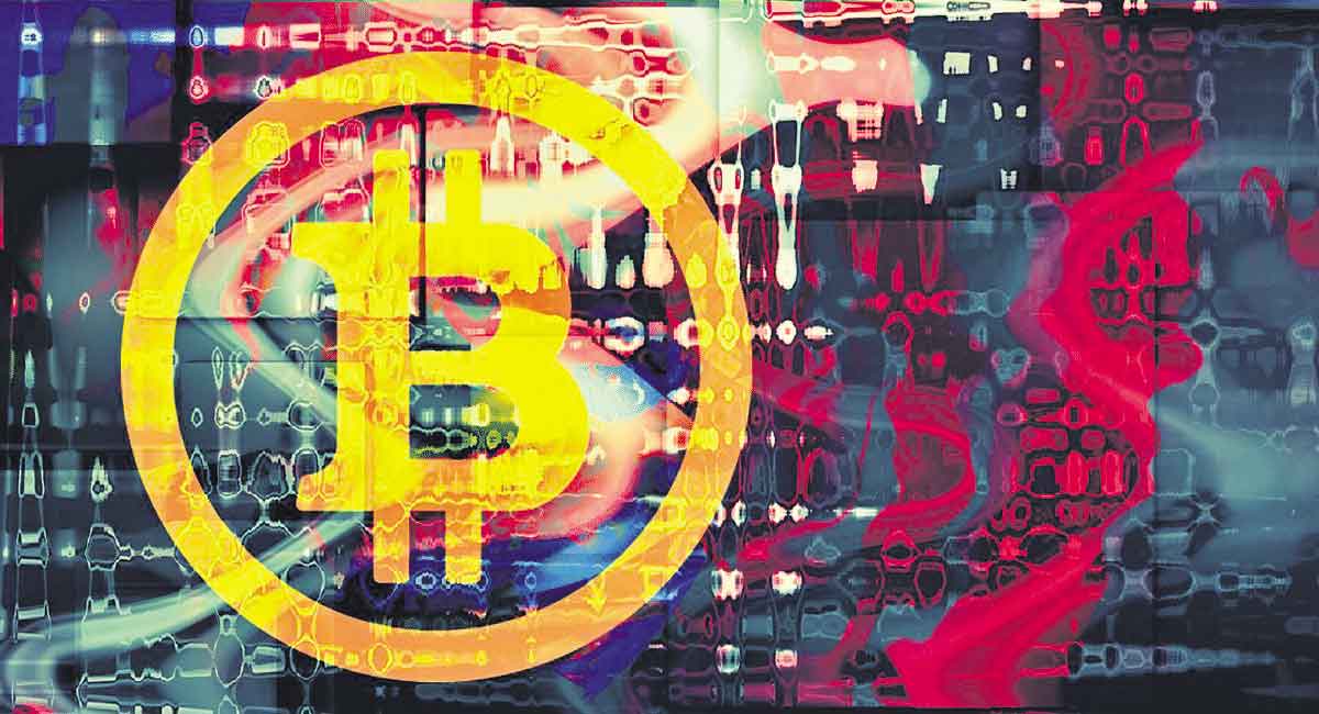 All you need to know about Bividend