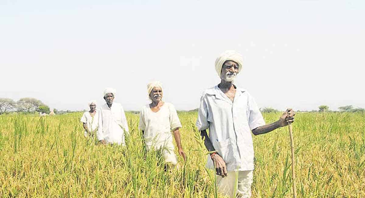 Rythu Bandhu deposits inching close to Rs 50,000 crore mark