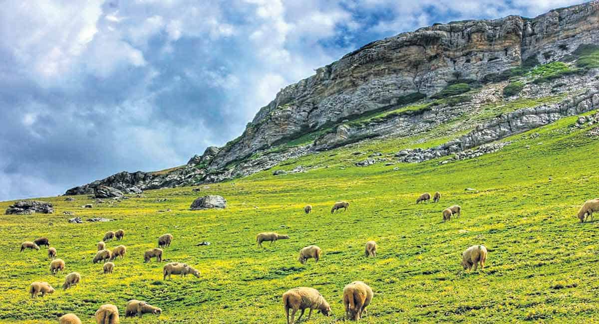 Guarding the Himalayan biodiversity for 33 years