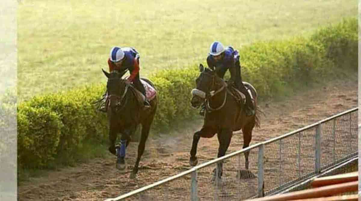 Count Of Savoy fancied for Laknavaram Cup