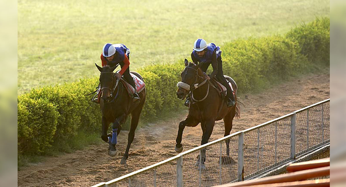 Princess Daka and Wind Sprite shine in trials
