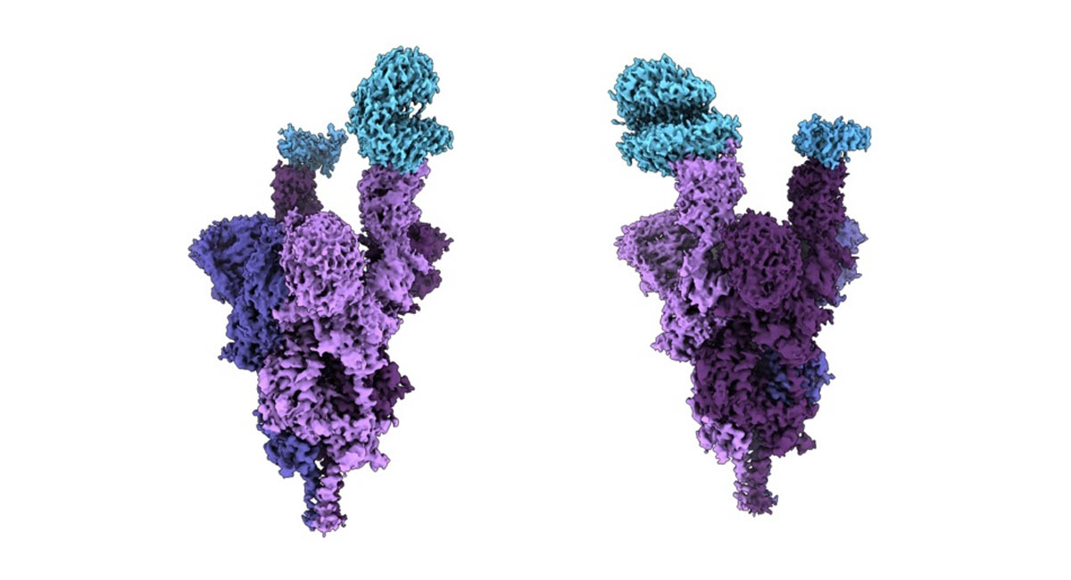 Indian-origin scientist creates 1st molecular structure of Omicron protein