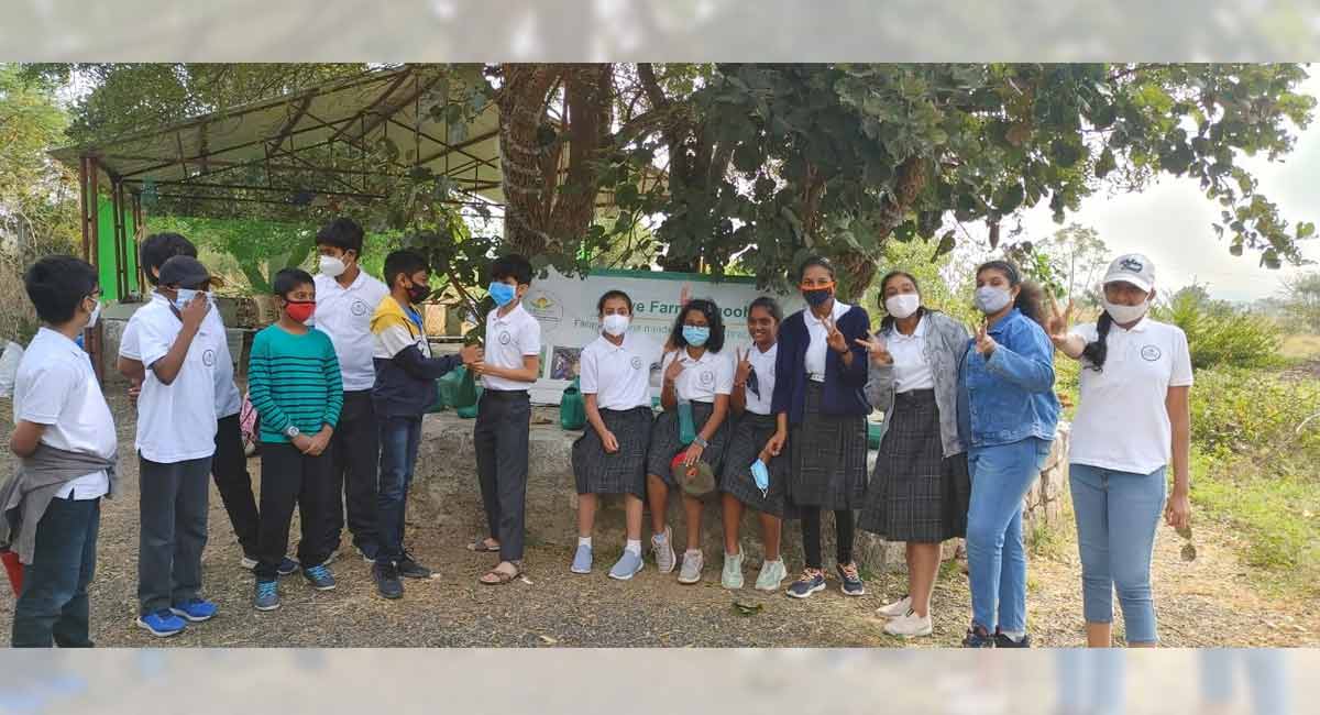 Field trip to a farm for students of Kairos International School