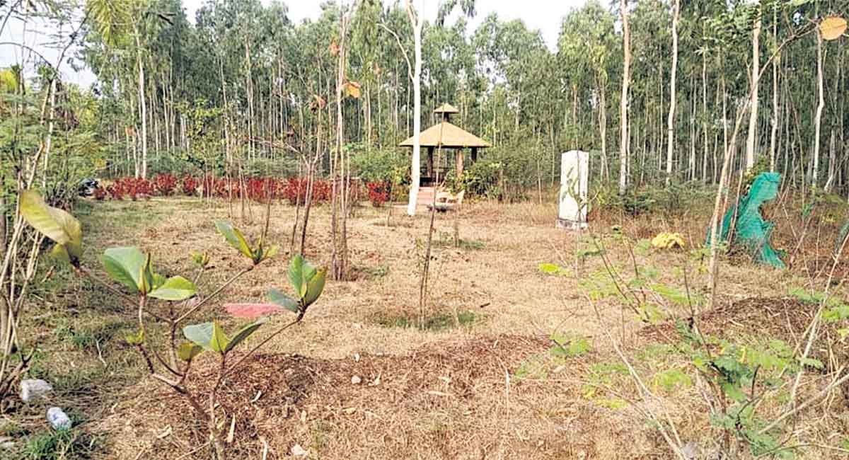 Hanamkonda: Neglected Kakatiya Vana Vihar crying for attention
