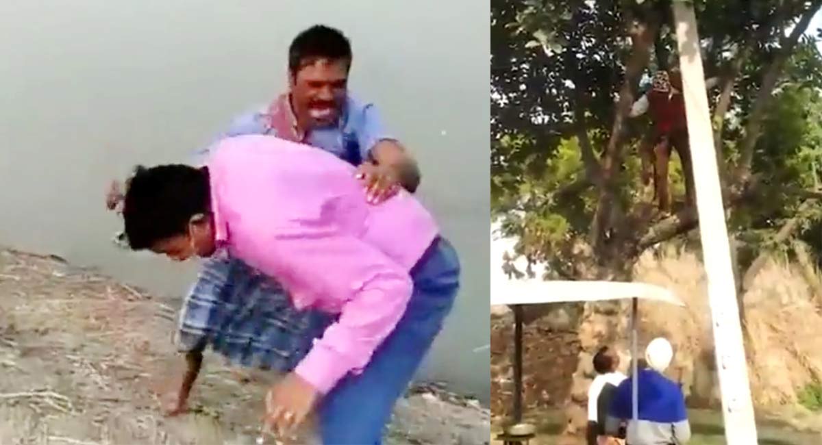 Man refusing COVID jab climbs tree, another attacks healthcare worker in UP