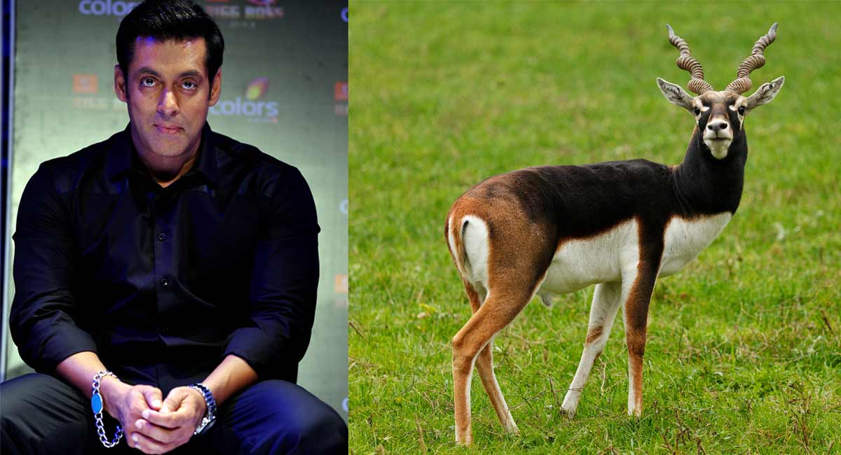 Memorial in Rajasthan for blackbucks killed by Salman Khan