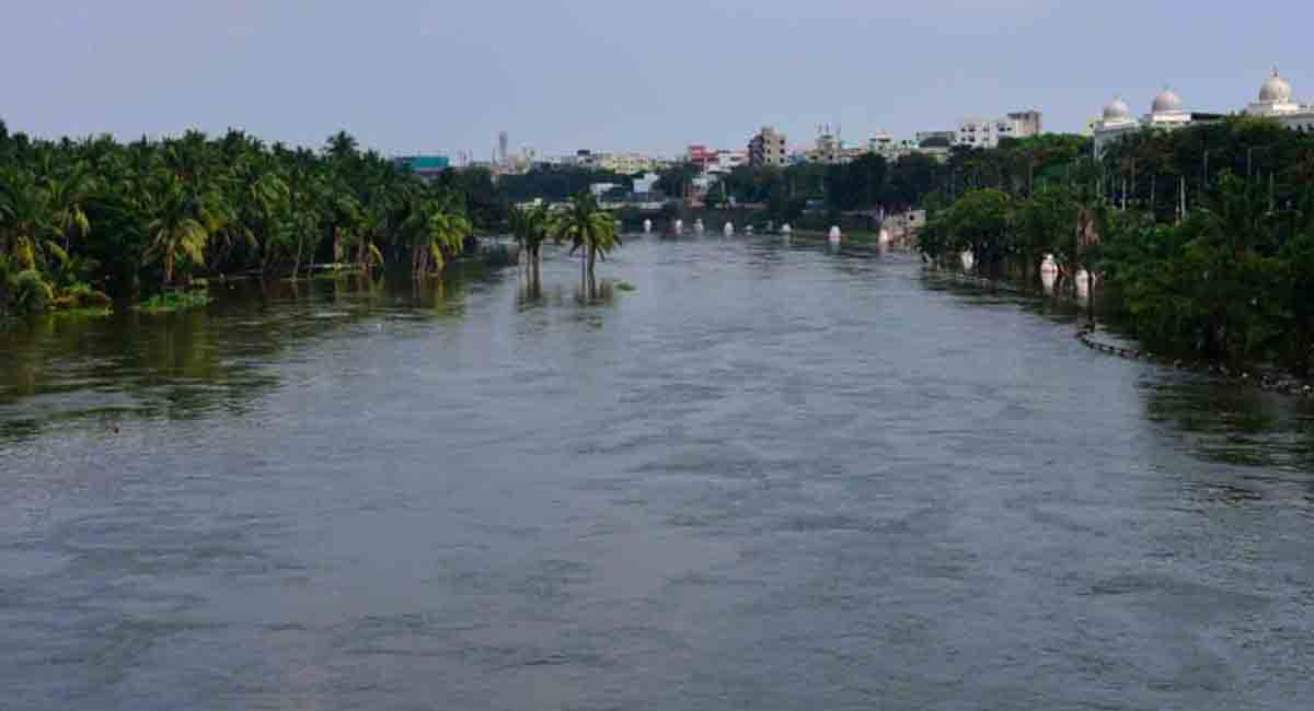 Centre turns nelson’s eye to Musi project