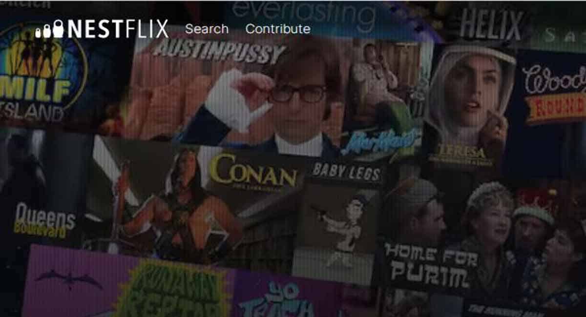 Get on to Nestflix to watch fake movies and shows