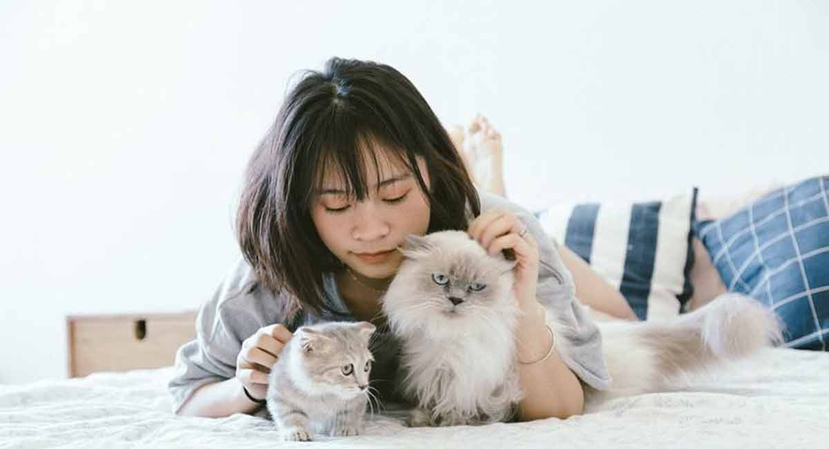 Winter pet care tips for your furry companions