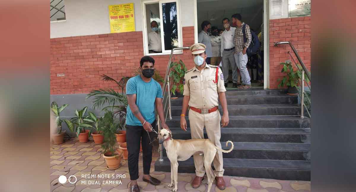 Hyderabad: Missing hound Rocky reunited with master