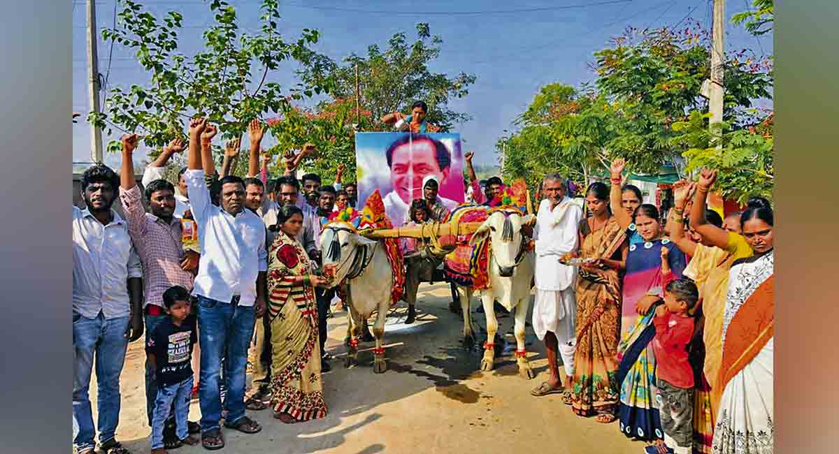Rythu Bandhu: Farmers take out bullock cart rally in Adilabad