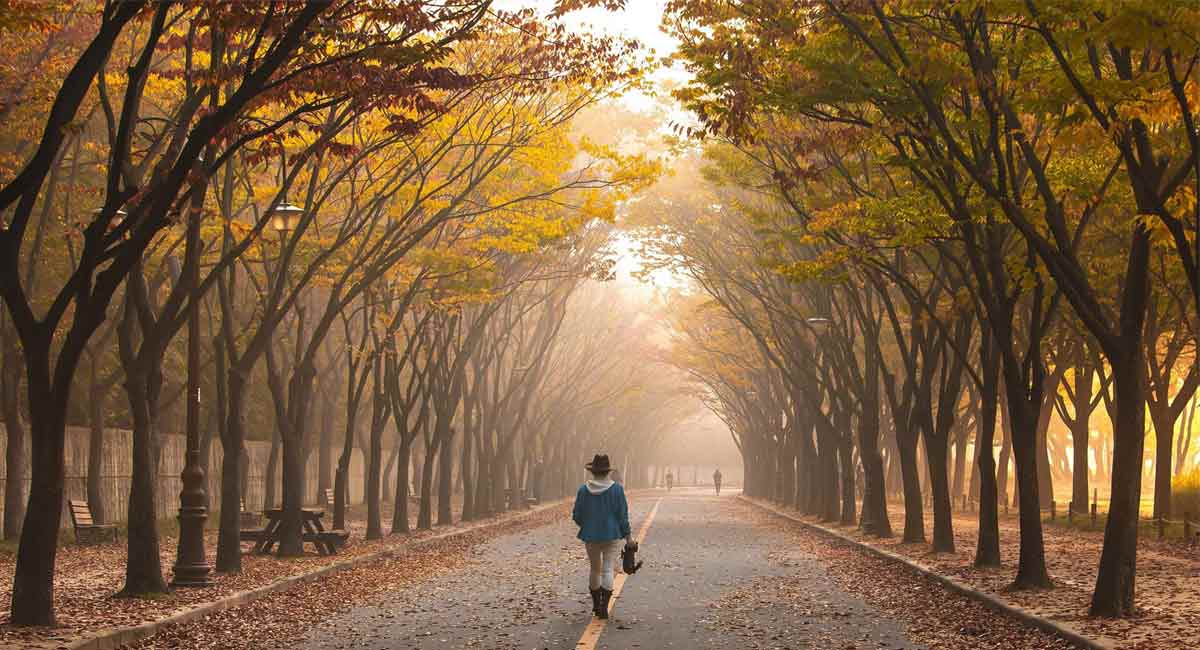 Study examines if we get creative ideas while walking