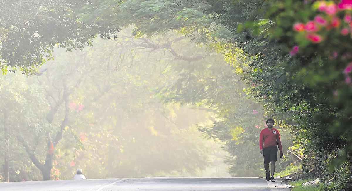 Three-day yellow alert for Hyderabad