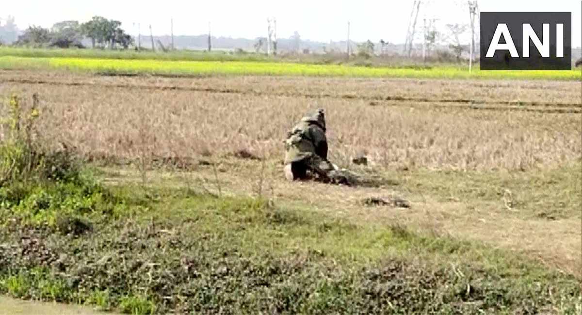 West Bengal: Six bombs recovered in Murshidabad, one held