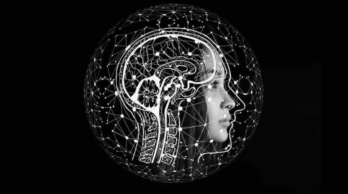 Study finds brain can multitask while walking