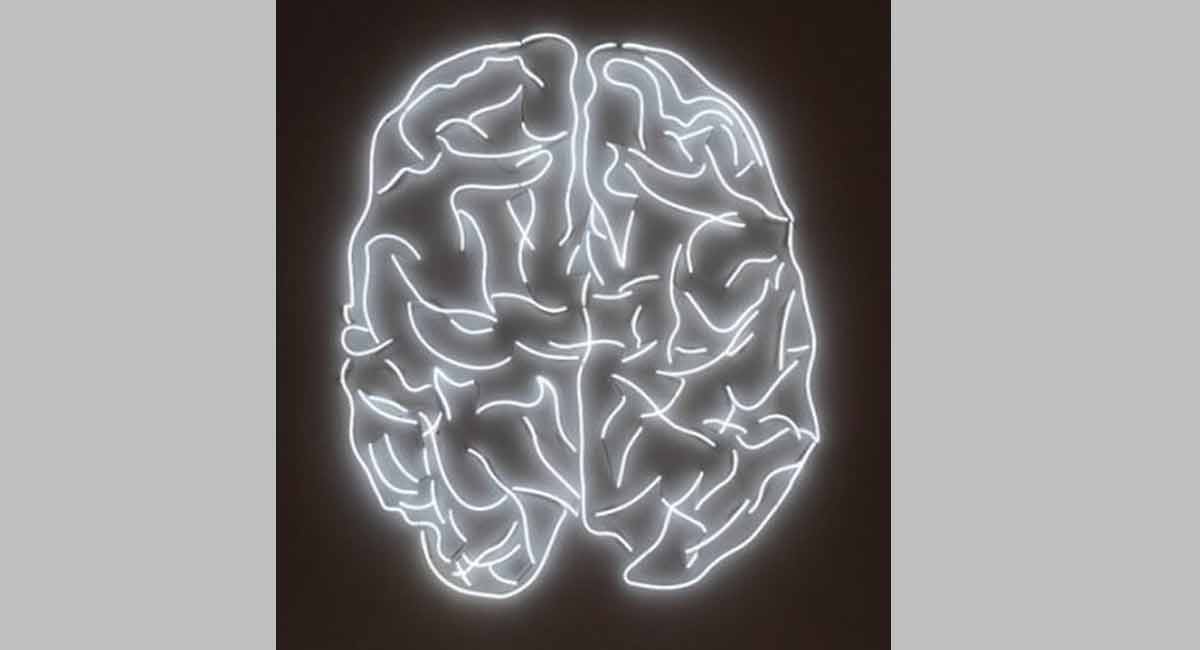 Study finds novel brain circuit leads to rhythms of vocalization