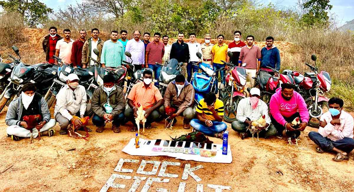 Warangal cops arrest 10 persons for organising cockfight