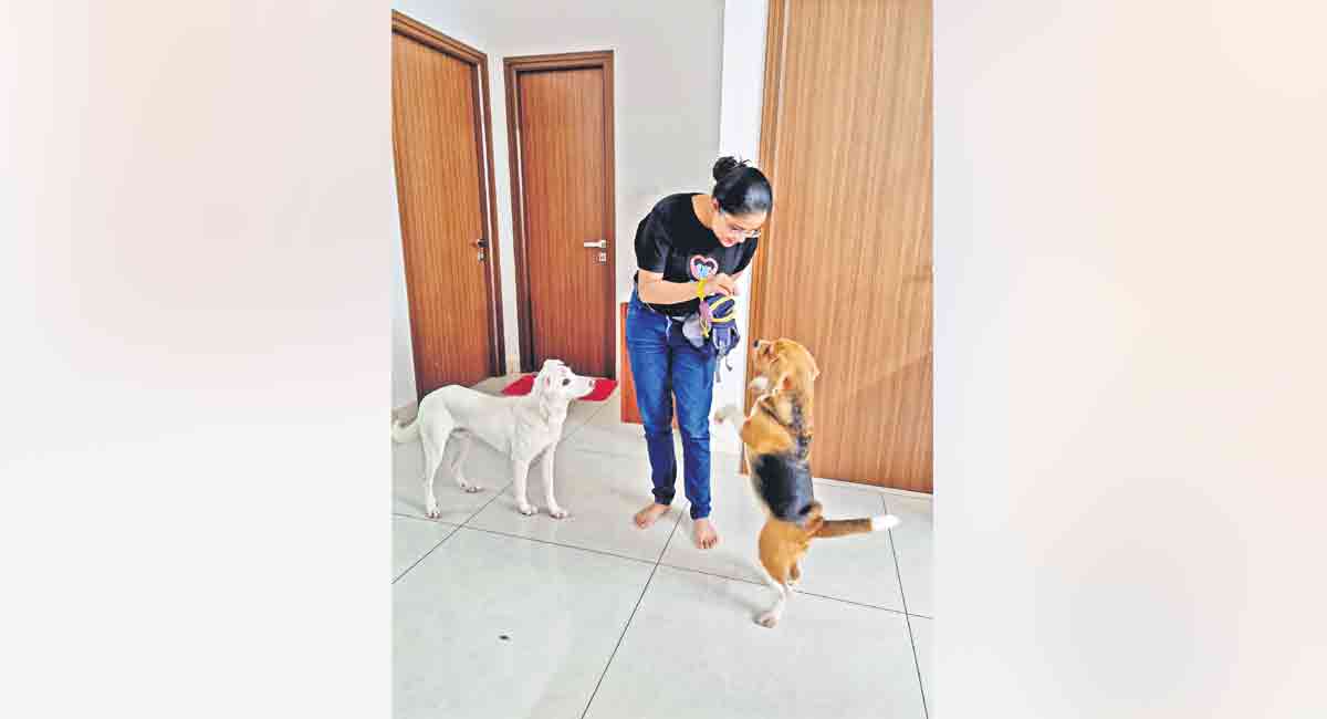 Understanding pets and beyond