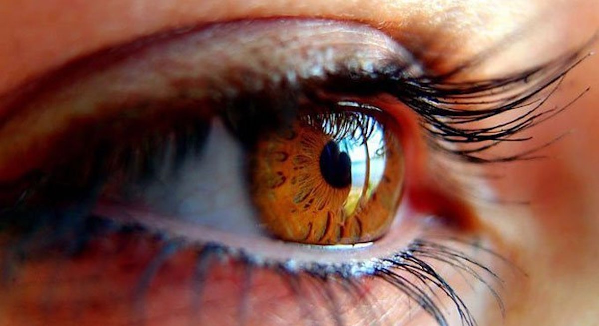 Study finds COVID-19 traumatic stress may predict PTSD